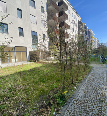 Berlin Mitte mit Garten? Haben wir! Neubauwohnung ab sofort und Unbefristet !, 10115 Berlin, Terrassenwohnung