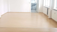 Wohnbereich - Charmante Retrowohnung: 1-Zimmer-Apartment in Friedrichshain (24 Monate befristet)